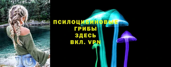 гидра Медвежьегорск