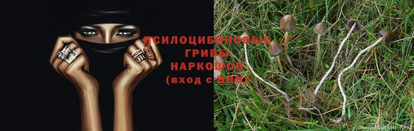 mix Абаза